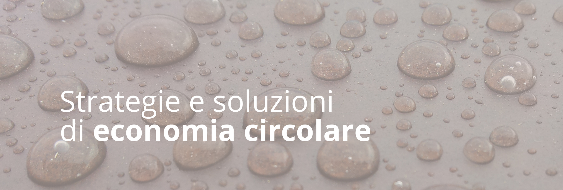 Strategie e soluzioni di economia circolare Strategie e soluzioni di economia circolare